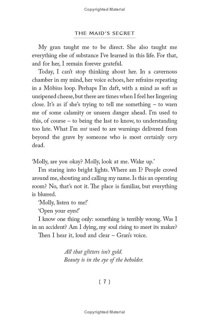 The Maid’s Secret - фото 3