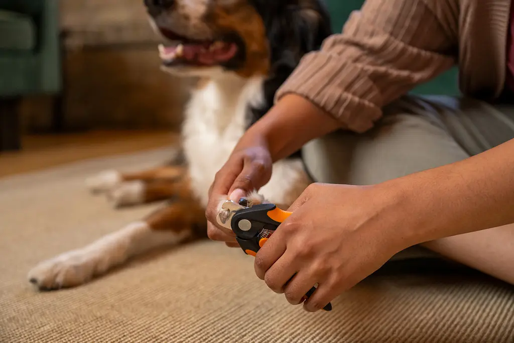 Кігтеріз для великих собак Fiskars Pet Care (2009132) - фото 3