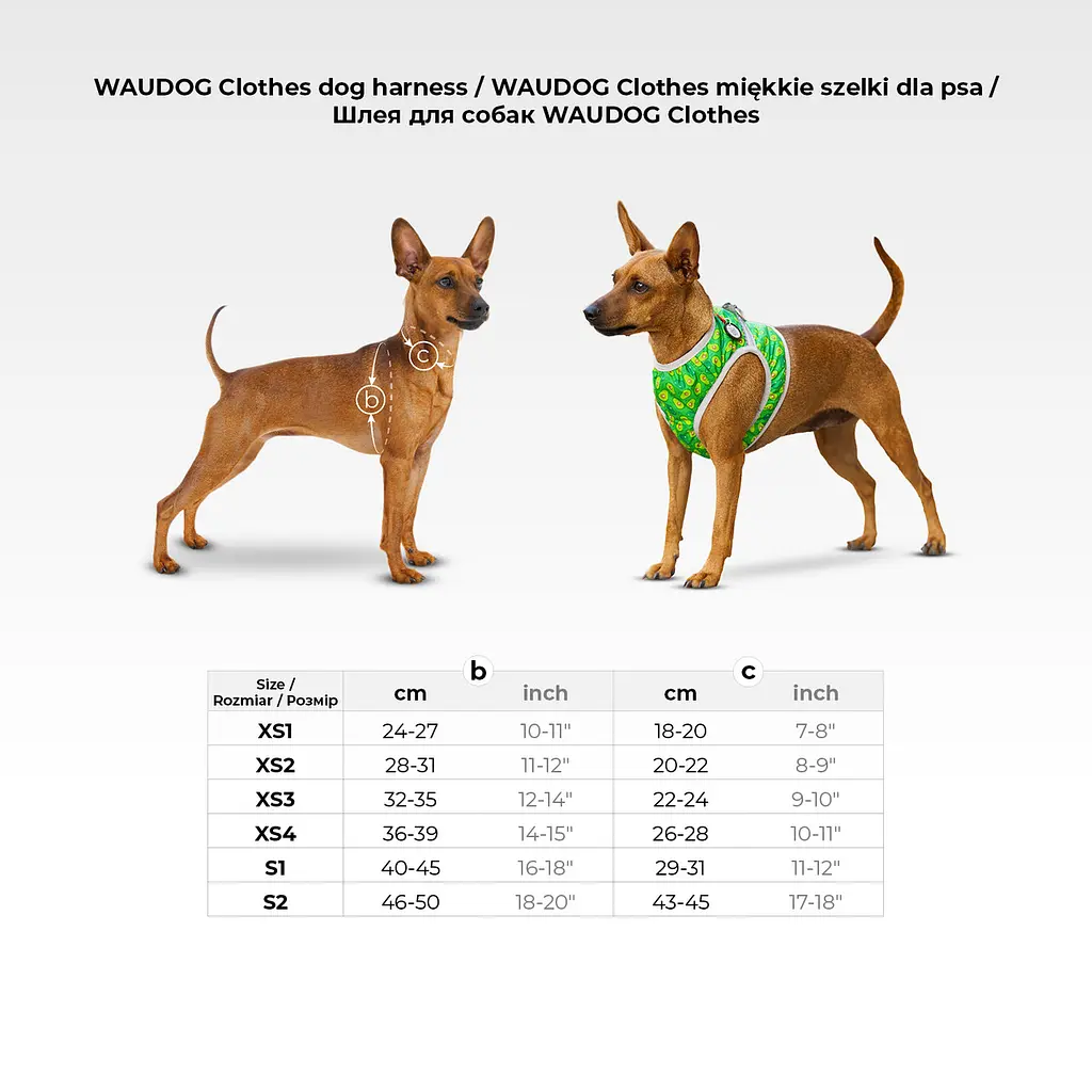 Шлея для собак м'яка Waudog Clothes з QR-паспортом "Colors of freedom" XS3 В 32-35 см С 22-24 см - фото 2
