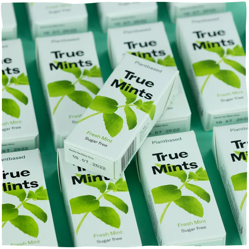 Конфеты True Mints свежая мята 13 г - фото 4