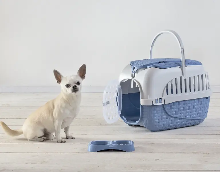 Миска для корма пластиковая двойная Doppia Small 21x11,5x3h, 0,3 л, синий - фото 2