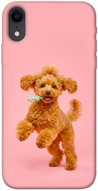 TPU чохол Demsky Happy poodle для Apple iPhone XR (6.1")