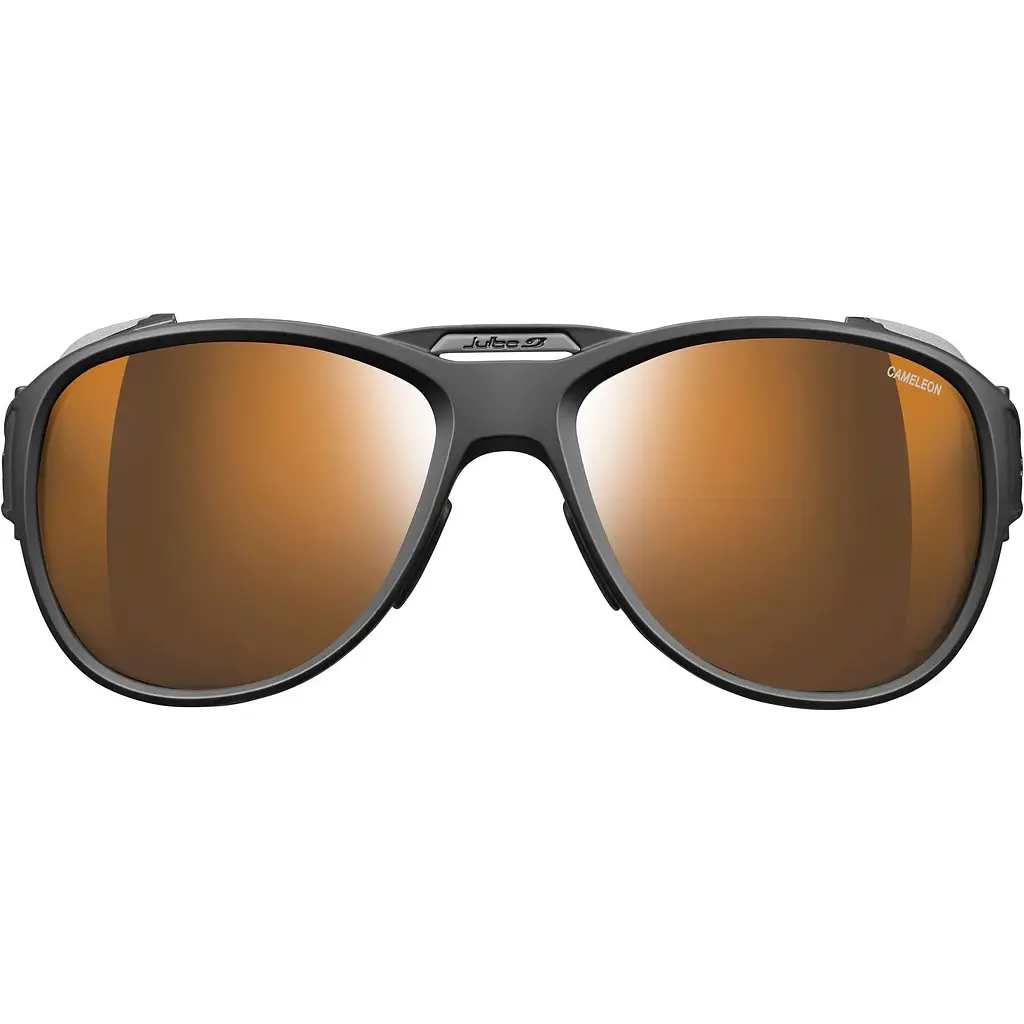 Очки Julbo Explorer 2.0 Reactiv Cameleon High Mountain Cat 2-4 Black (1052-J4975014) - фото 3