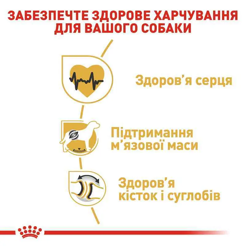 Сухий корм для дорослих собак породи Ротвейлер Royal Canin Rottweiler Adult, з м'ясом птиці, 12 кг (3971120) - фото 6