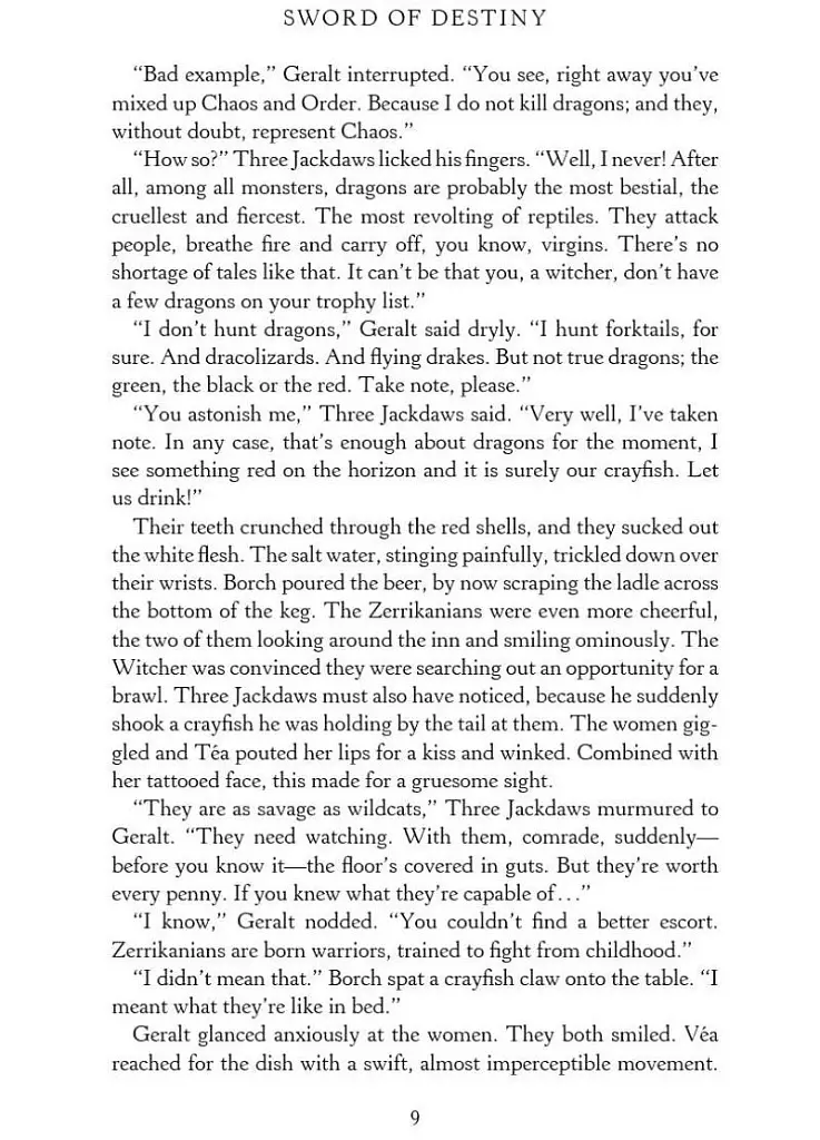 The Witcher. Sword of Destiny - фото 3