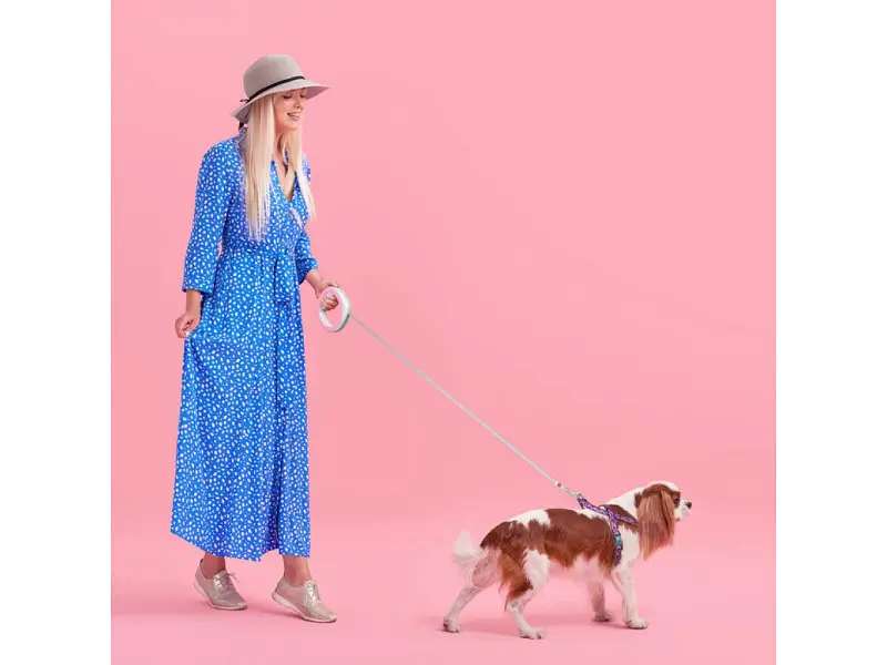 Поводок для собак WAUDOG R-leash светоотражающая лента XS-M до 40 кг 2.9 м розовый (81277) - фото 7