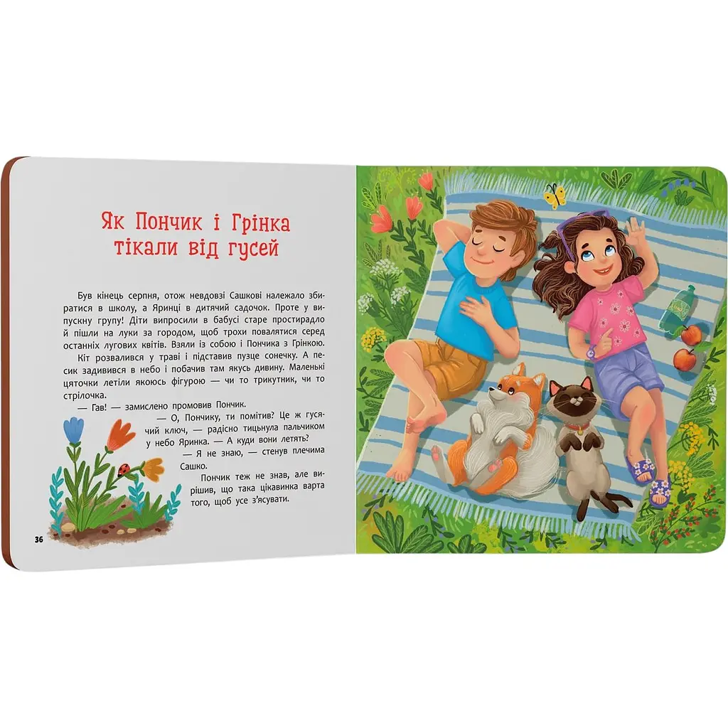Дитяча книга Crystal Book Хвостаті пригоди. Пончик та Грінка. Канікули за містом - Юлія Риженко (F00031969) - фото 4