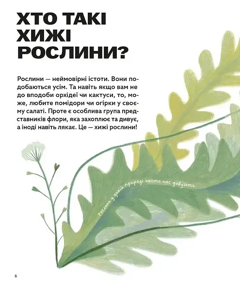 Хто такі хижі рослини? - фото 2