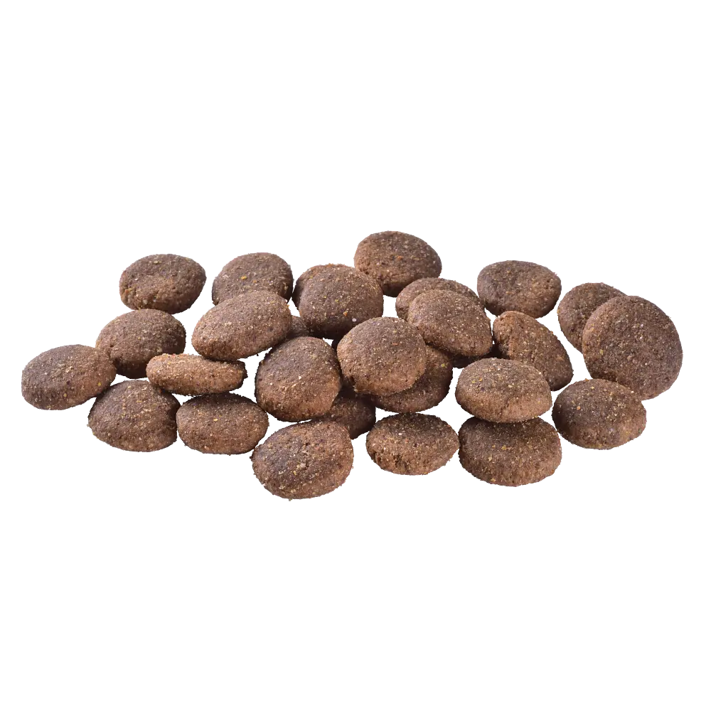 Сухий корм Brit Care Dog Grain-free Adult Large Breed для собак великих порід, беззерновий з лососем, 12 кг - фото 8