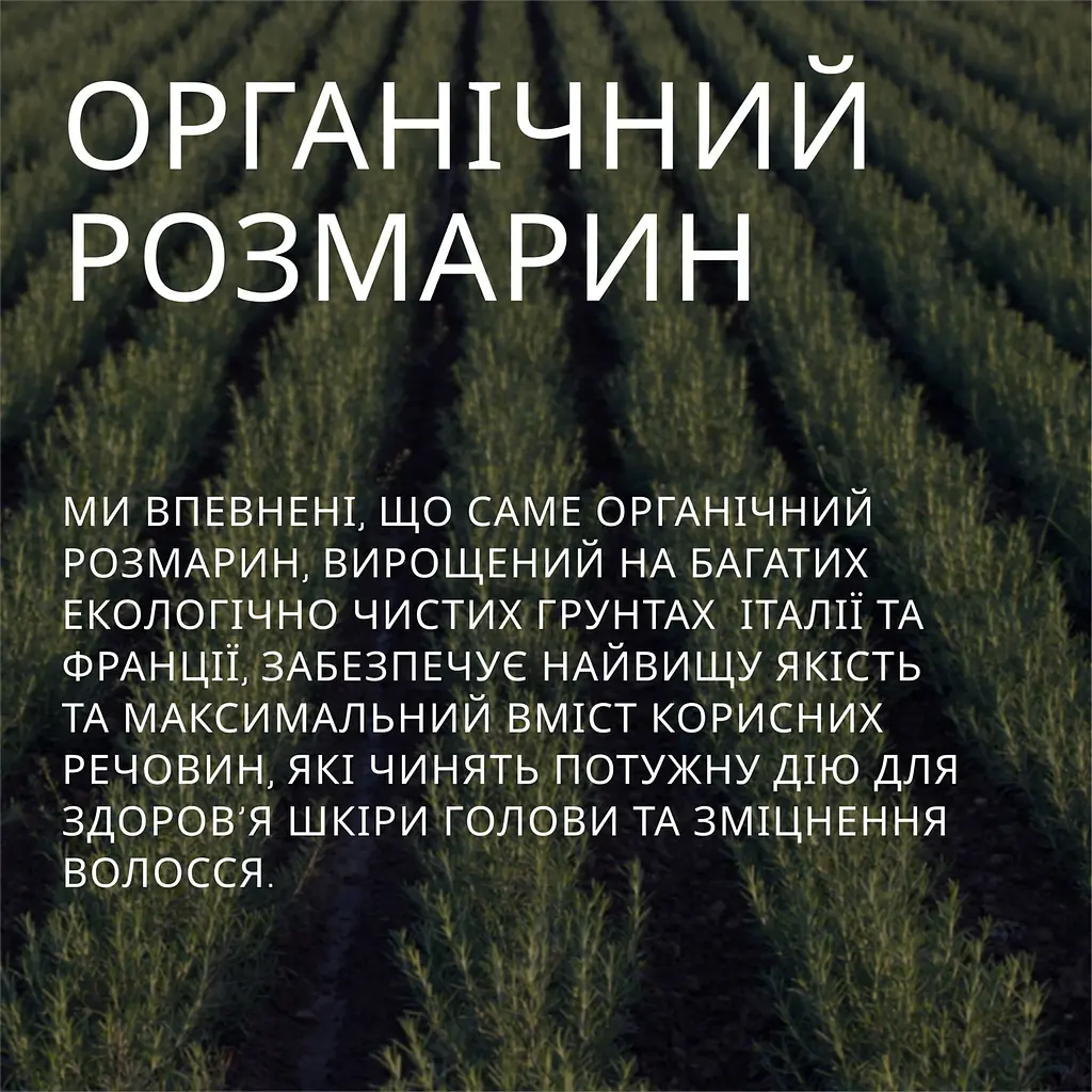Рослинний тонік для волосся Weleda з розмарином, 100 мл (957100) - фото 15