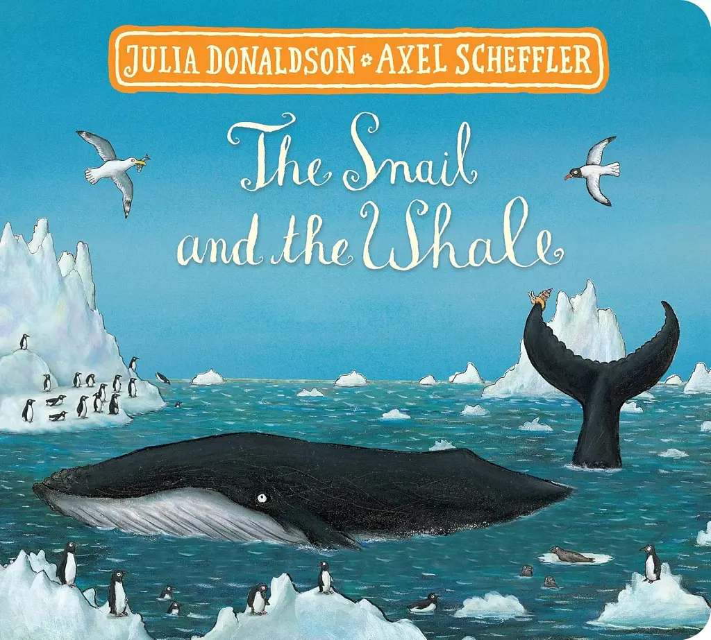 Room on the Broom and The Snail and the Whale Board Book Gift Slipcase - фото 2