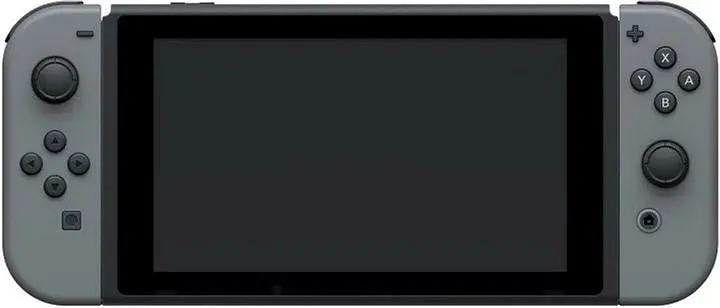 Ігрова консоль Nintendo Switch with Gray Joy Con - фото 3
