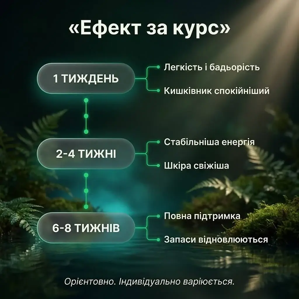 Набір "Повний спектр": спіруліна + хлорела у порошку 250+250 г - фото 7