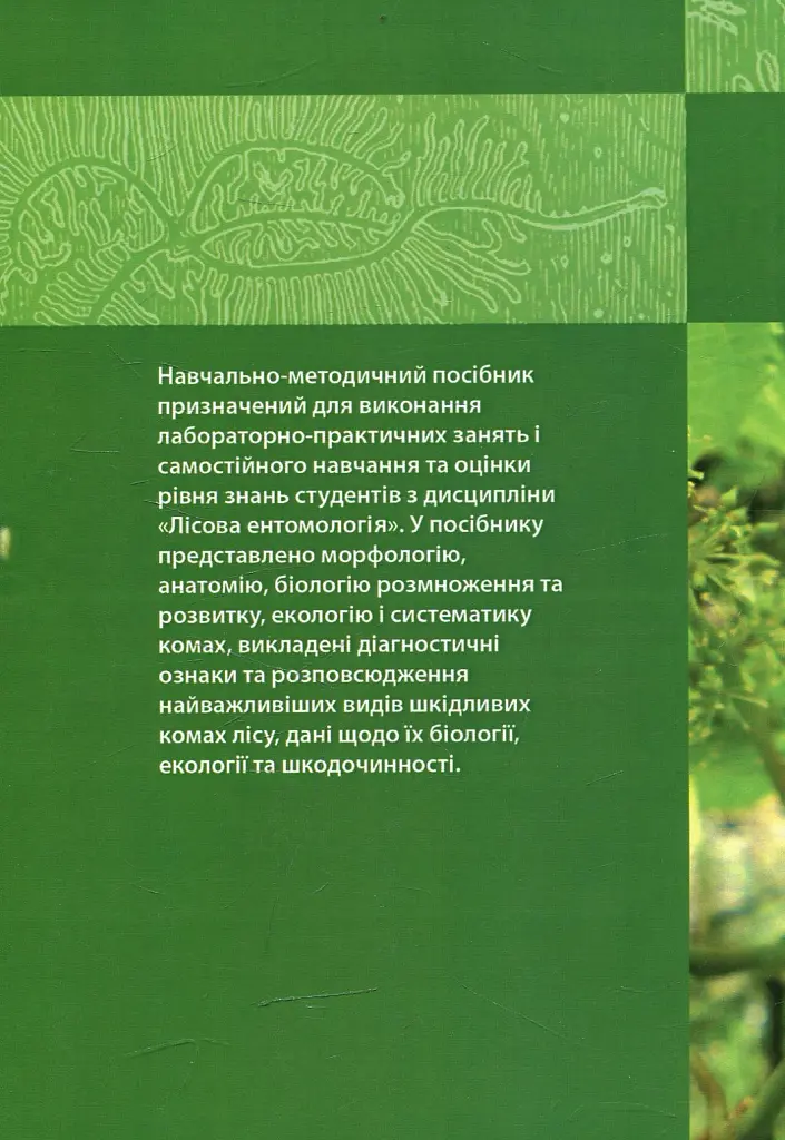 Лісова ентомологія - фото 2