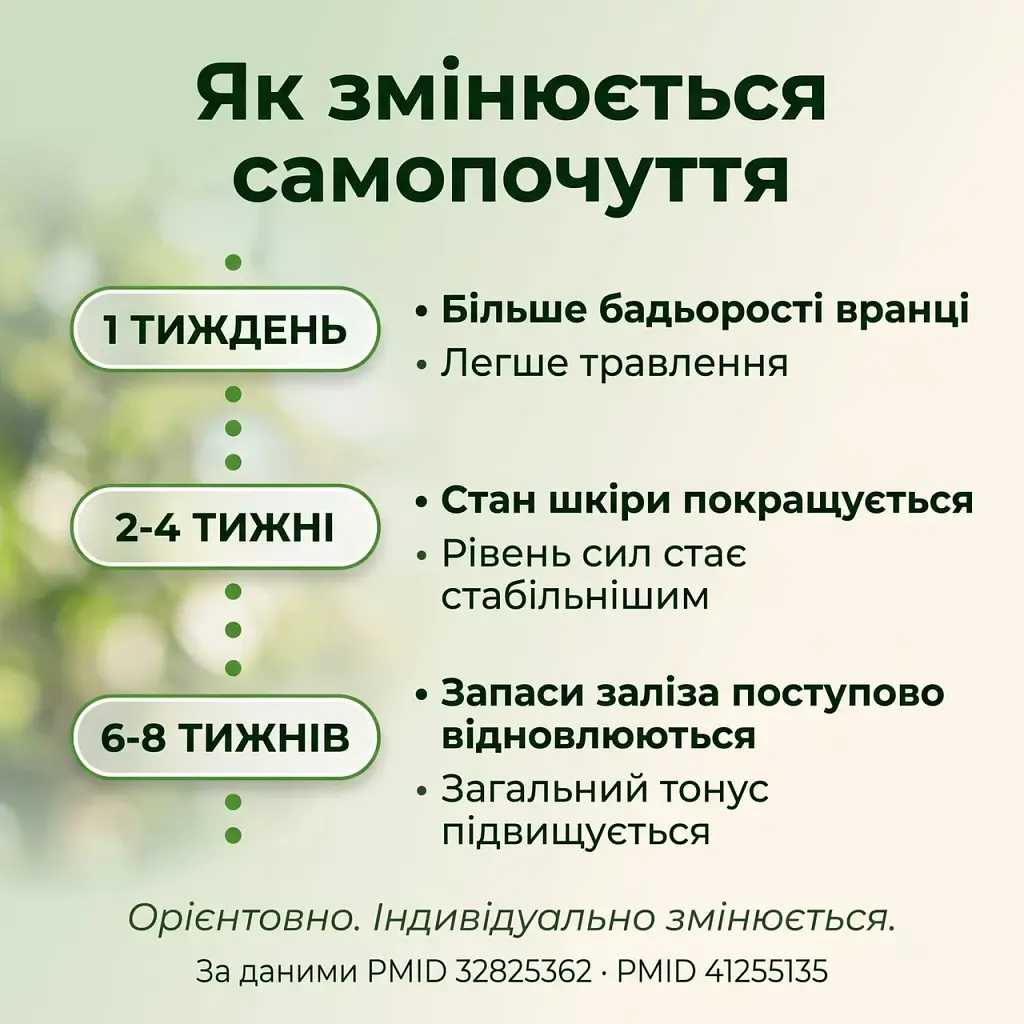 Хлорела у порошку 250 г - фото 7