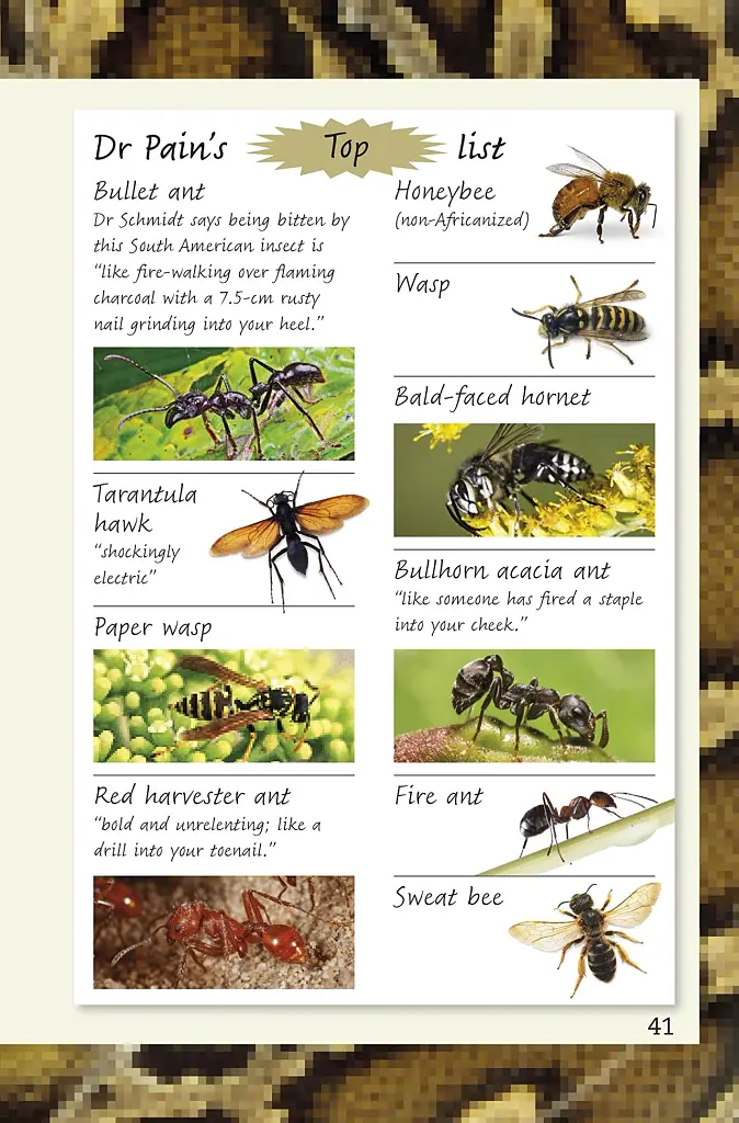 DK Readers 4: Spiders and Other Deadly Animals - фото 5