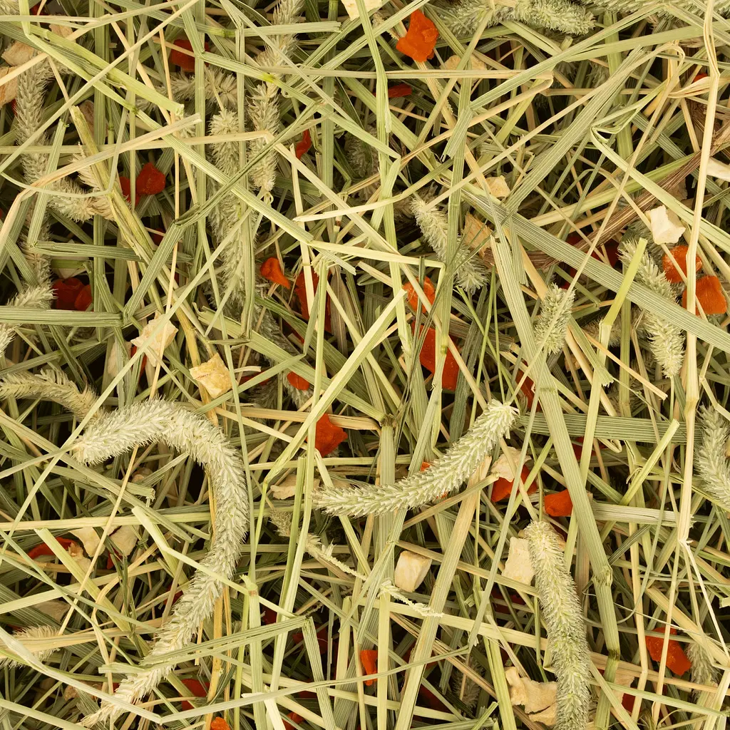 Сіно для гризунів Deli Nature Rodelicious Timothy Hay Carrot & Parsnip тимофіївки з морквою та пастернаком 600 г 21358 - фото 2