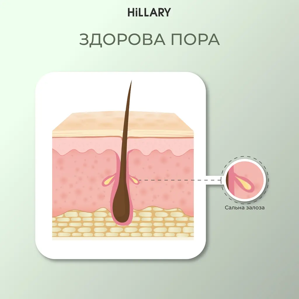 Солнцезащитный крем для лица SPF 50 + Набор по уходу за кожей лица нормального типа Hillary - фото 11