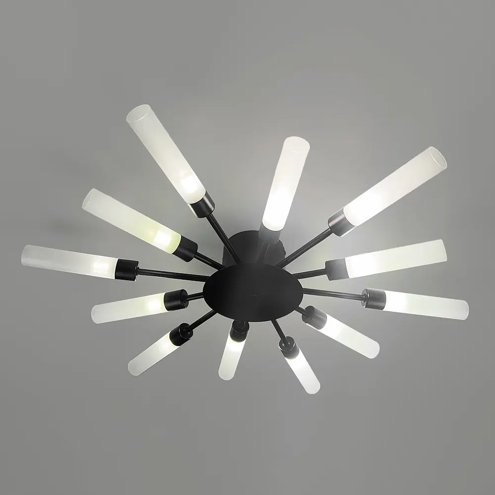 Потолочная черная люстра в форме солнечных лучей на 12 плафонов G9 Ø 69х8 см Line F | Ст. 1276/12 BK - фото 2