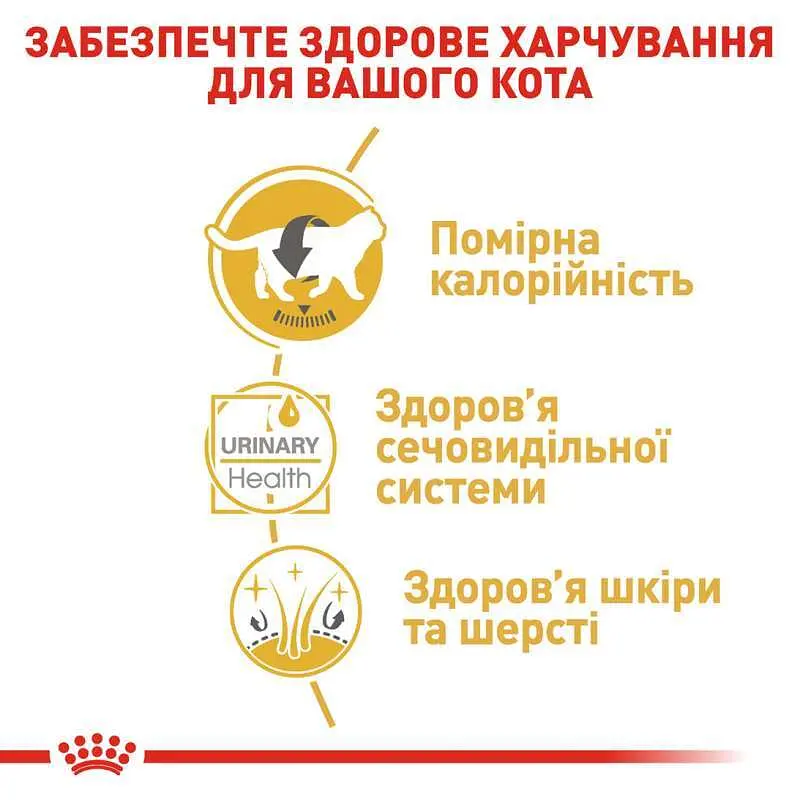 Влажный корм для взрослых кошек породы британская короткошерстная Royal Canin British Shorthair Adult, кусочки в подливе, 85 г - фото 3