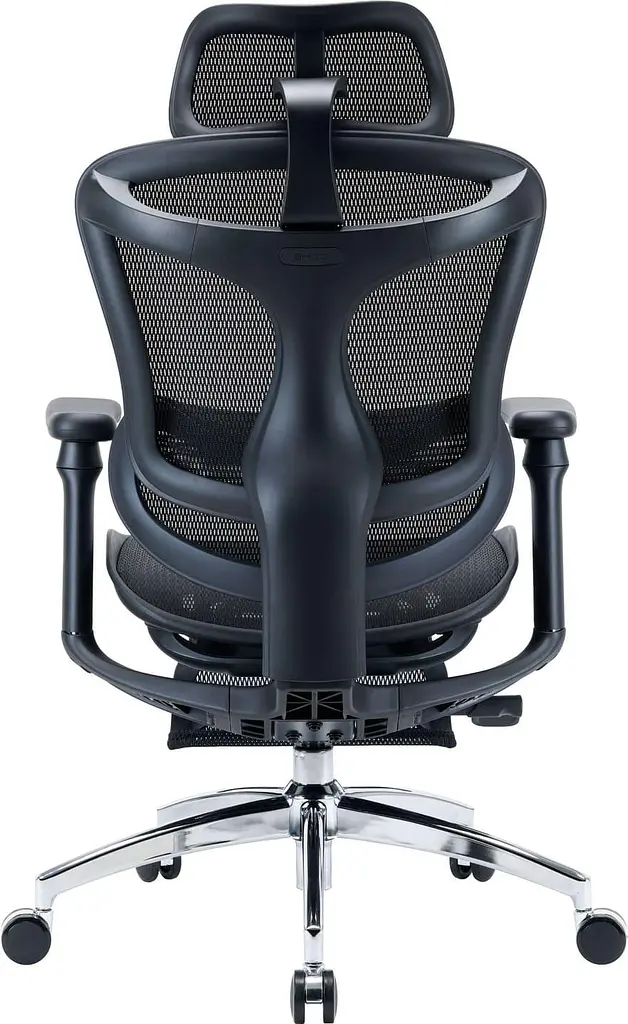Офісне крісло Sihoo DORO C300L Mesh Black with footrest (DORO-C300L-A3-101-JT) - фото 2