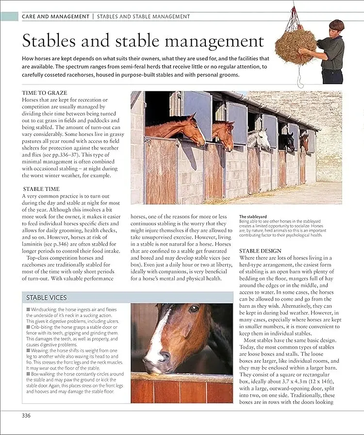 The Horse Encyclopedia (new edition) - фото 12