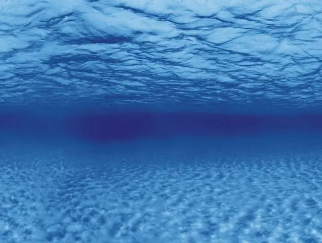 Акваріумний задній фон Aqua Nova Синє море/Камені з корчами 60x30 см (TREE ROOTS/WATER S) - фото 4