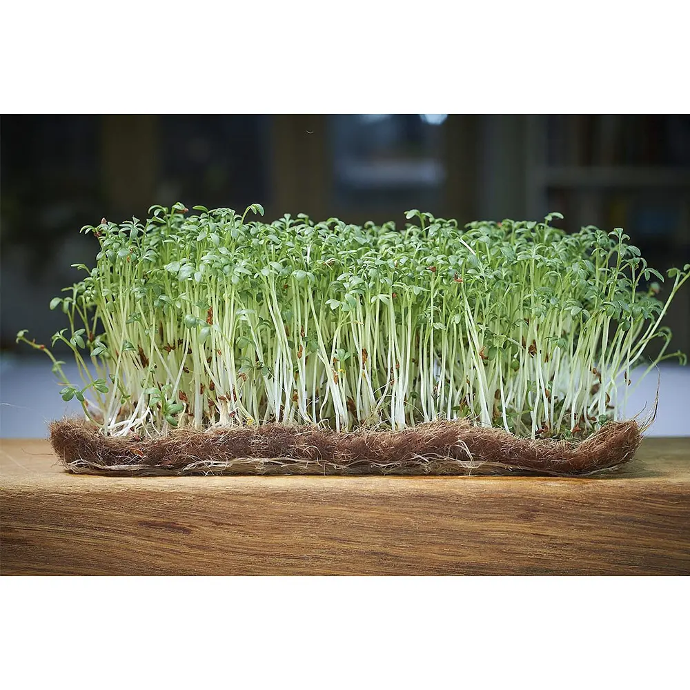 Килимок кокосовий EuroCocos для мікрозелені 10 х 20 см  5 шт. - фото 4