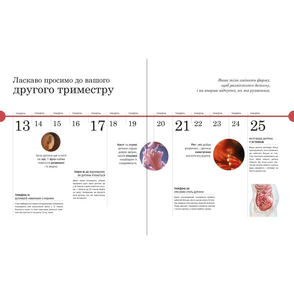 Книга Практична психологія. Вагітність день за днем - Меґґі Блотт Ранок (9786170991058) - фото 10