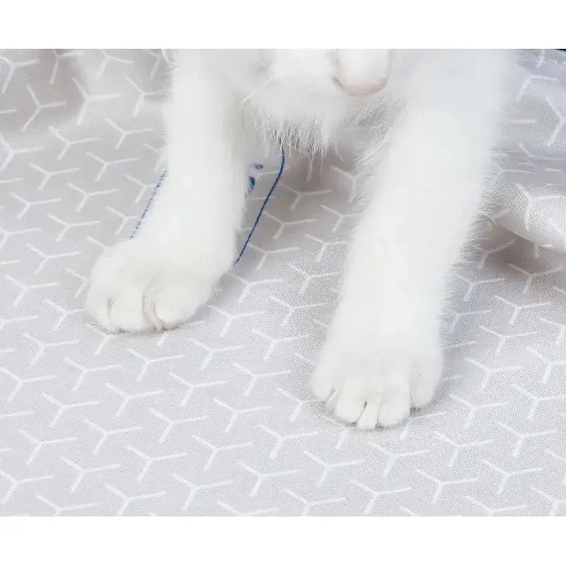 Змінна підкладка для наповнювача Petkit High Performance Cat Litter Pad Ultra (P99035) - фото 5