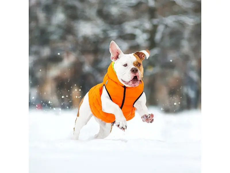 Курточка для животных Airy Vest двусторонняя L 55 оранжево-салатовая (1634) - фото 6