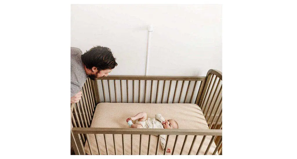 Умный носок + видеоняня Owlet Dream Sock & Cam 2 Matte Pink - фото 4