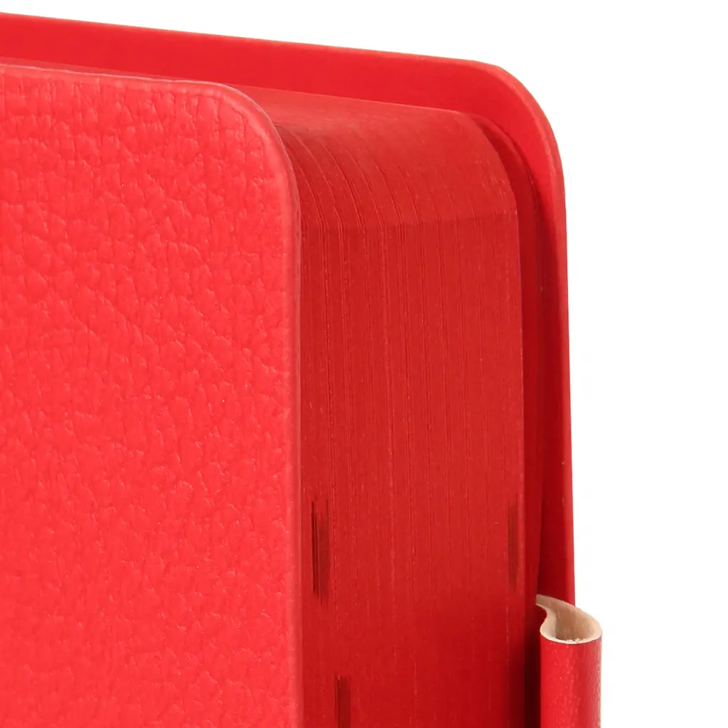 Дневник-деловая записная книжка А5 Leo Planner Binario 2026 мягкий красный 368 страниц (252642) - фото 5