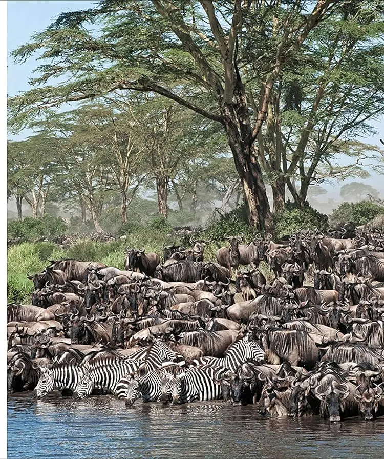 Natural Wonders of the World - фото 13