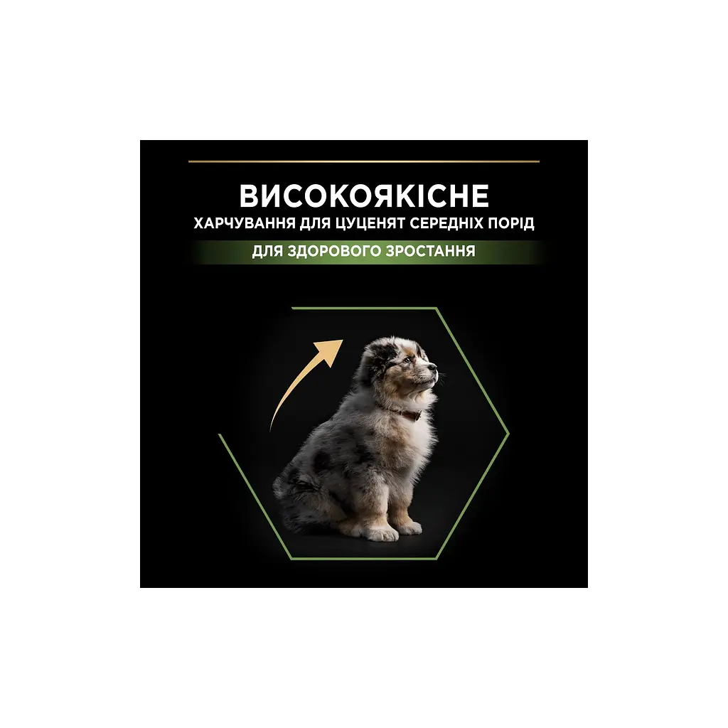 Сухий корм для собак Purina Pro Plan Dog Medium Puppy з високим вмістом курки 12 кг (7613035120402) - фото 5