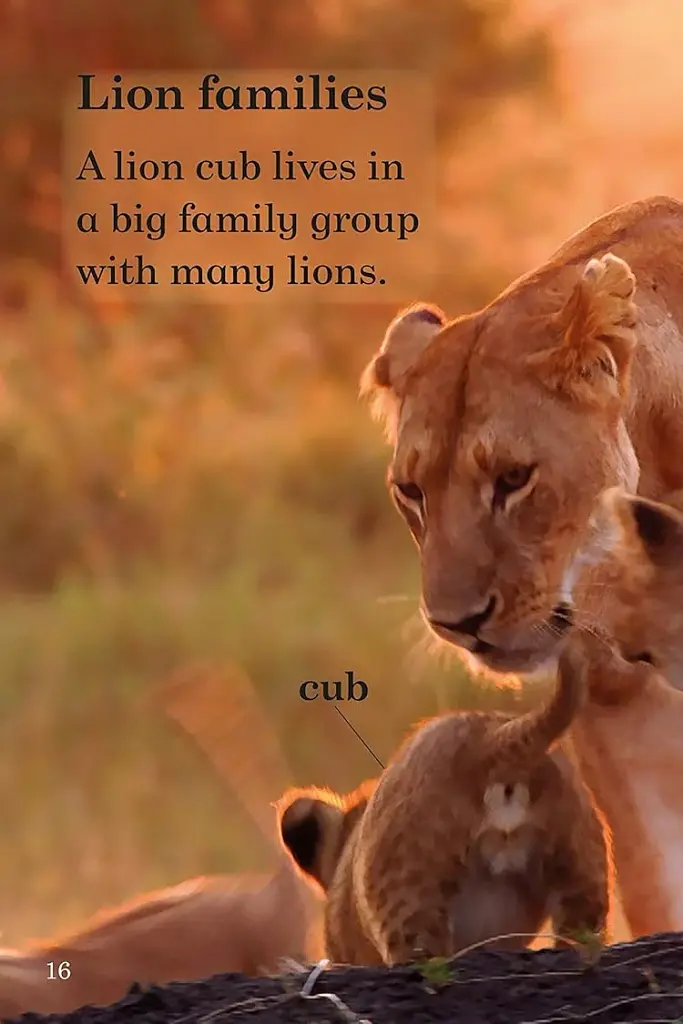 Ladybird Readers Level 1. BBC Earth: Baby Animals - фото 2
