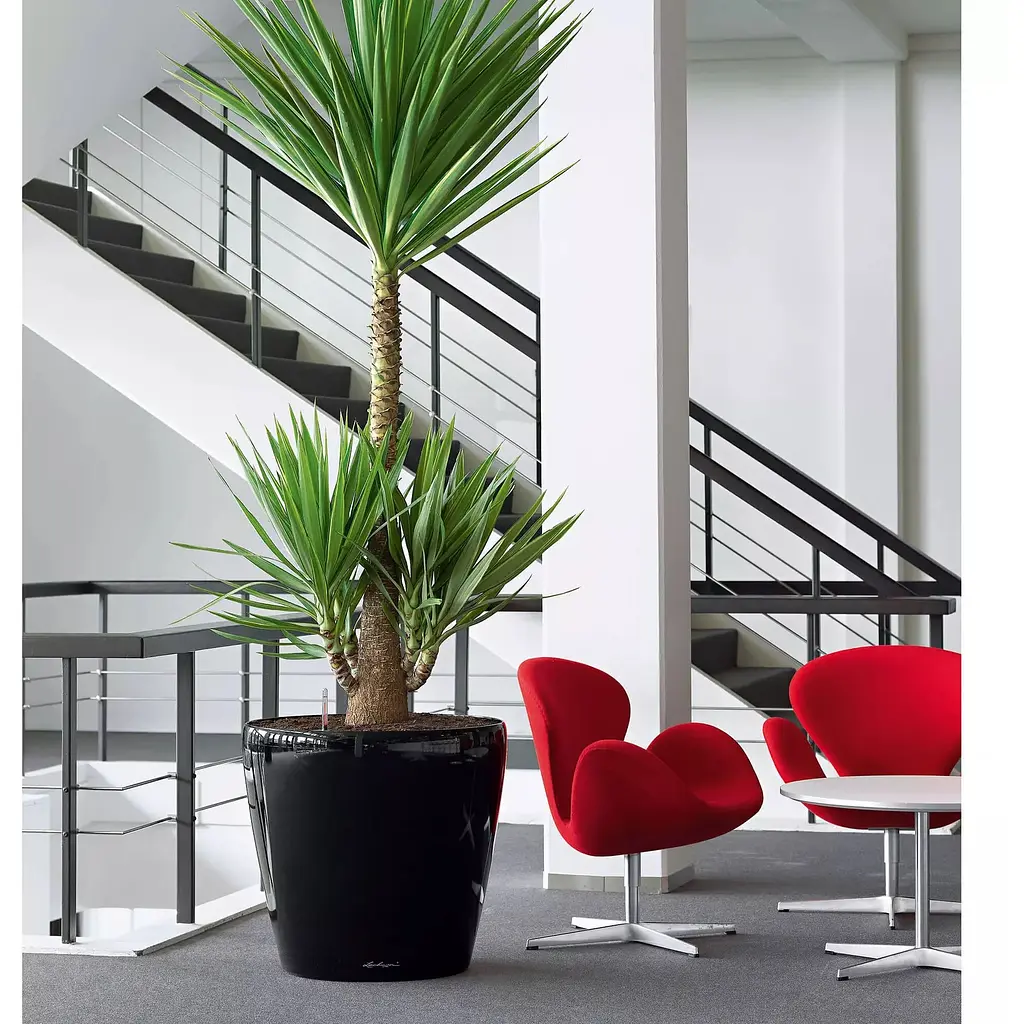 Вазон Lechuza Classico Premium 60 All-in-One антрацит (14563) - фото 5