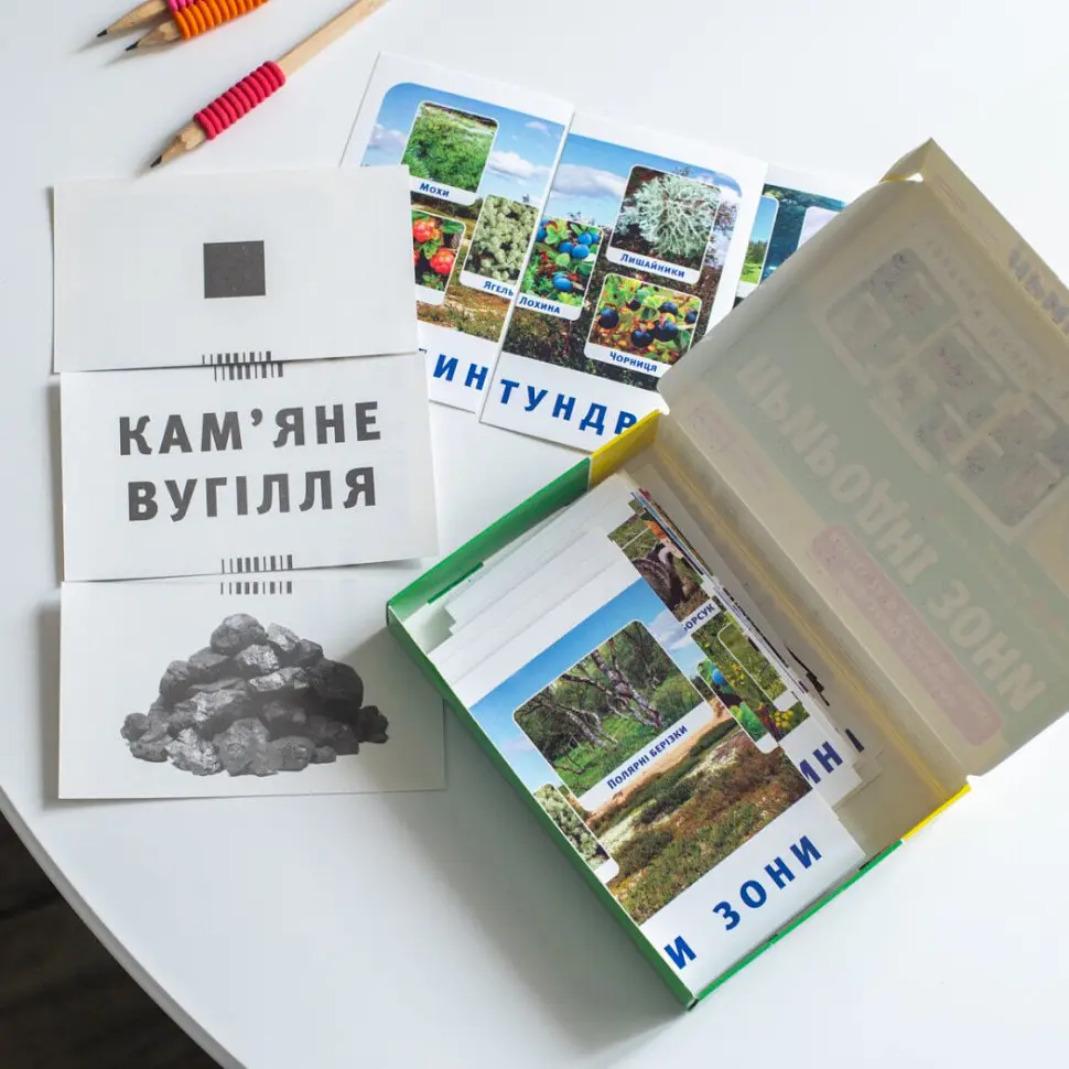 Набір тематичних карток "Природні зони" 13169002 для дітей 4-6 років - фото 8