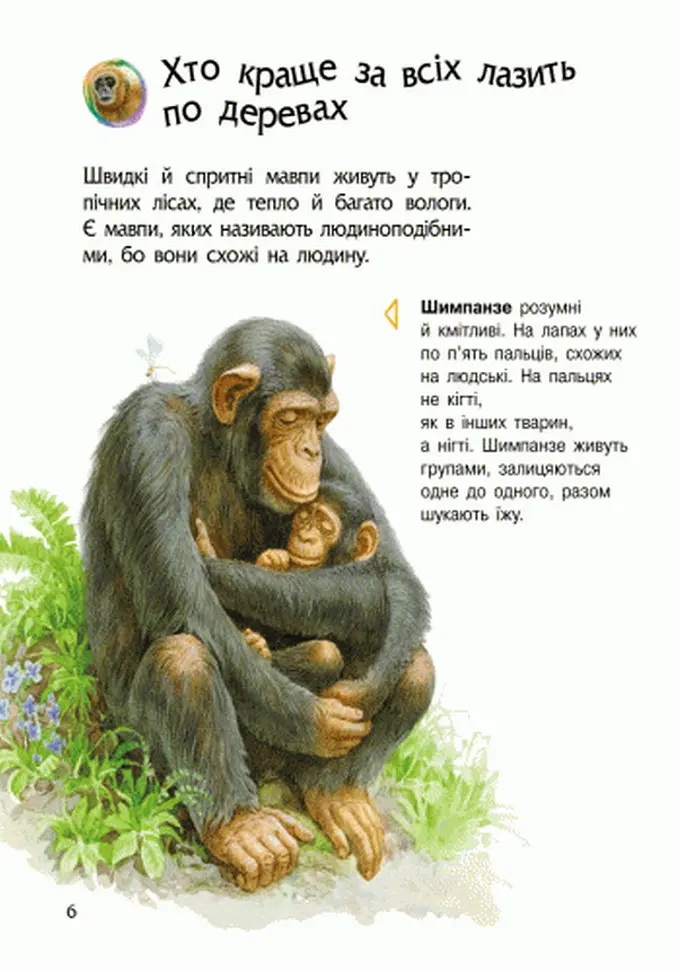 Дитяча енциклопедія про тварин 614005 для дошкільнят - фото 7