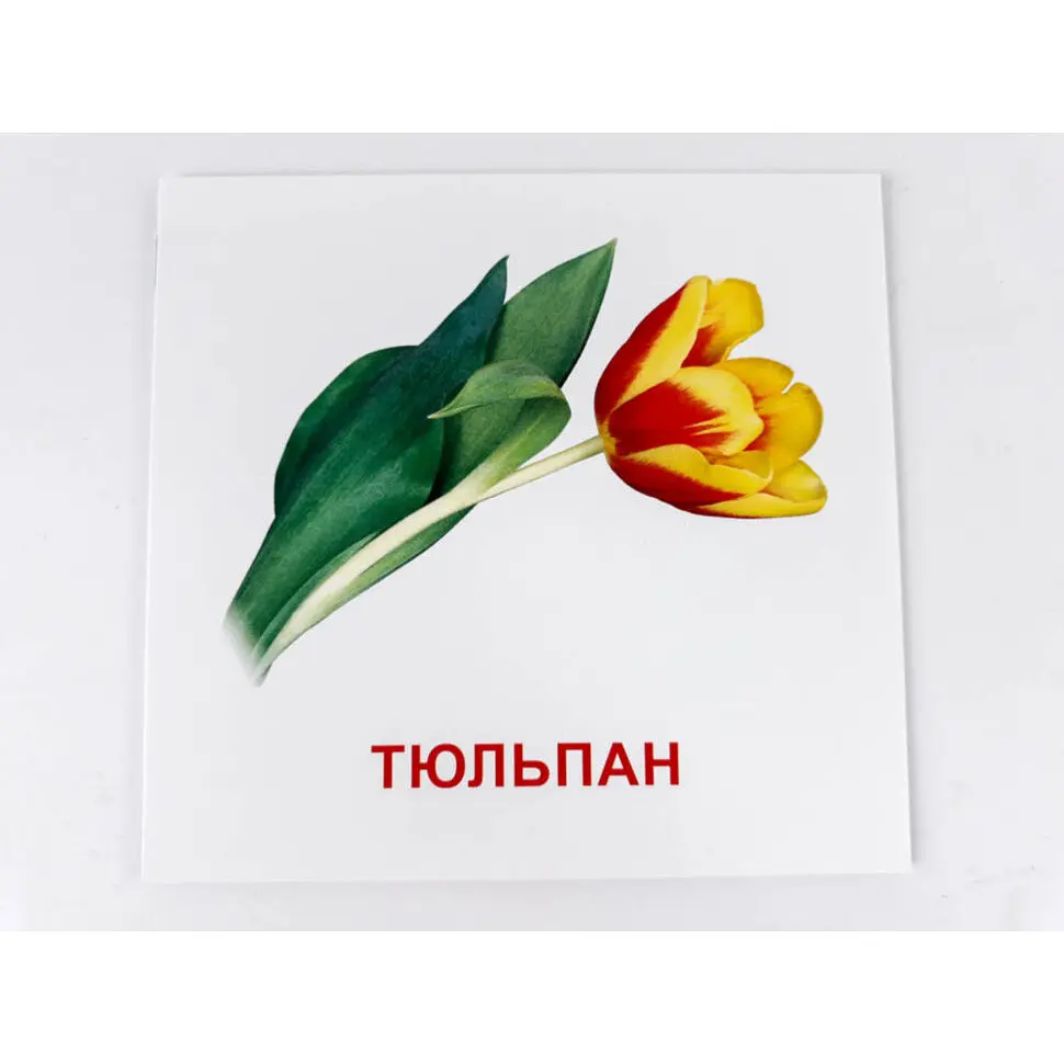 Карточки мини Zirka Цветы 110х110 мм UA-ENG 72754 - фото 3