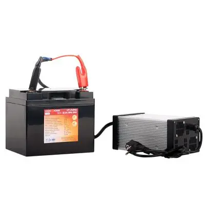 Мережевий зарядний пристрій для АКБ LogicPower LiFePO4 24V (29.2V)-25A-600W (14595) - фото 5