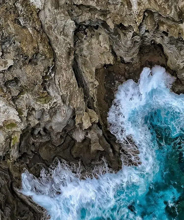 The Science of the Ocean. The Secrets of the Seas Revealed - фото 4