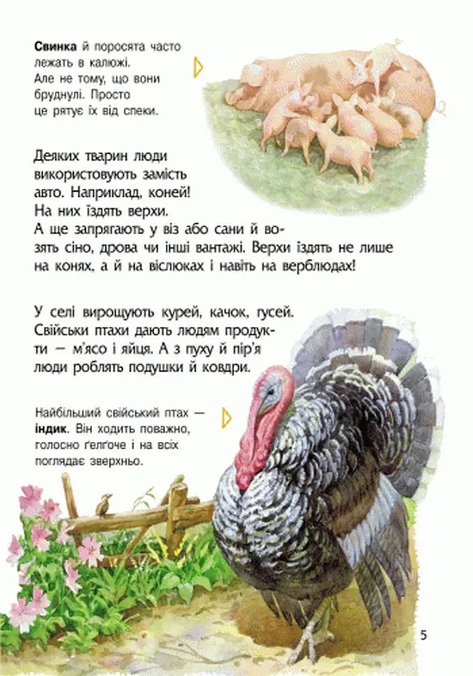 Дитяча енциклопедія про тварин 614005 для дошкільнят - фото 8