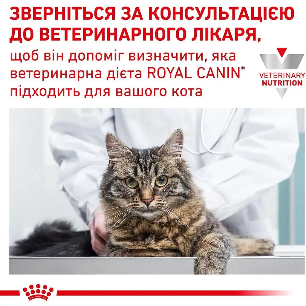 Сухой корм для взрослых кошек Royal Canin Diabetic 1.5 кг (39060151) - фото 7