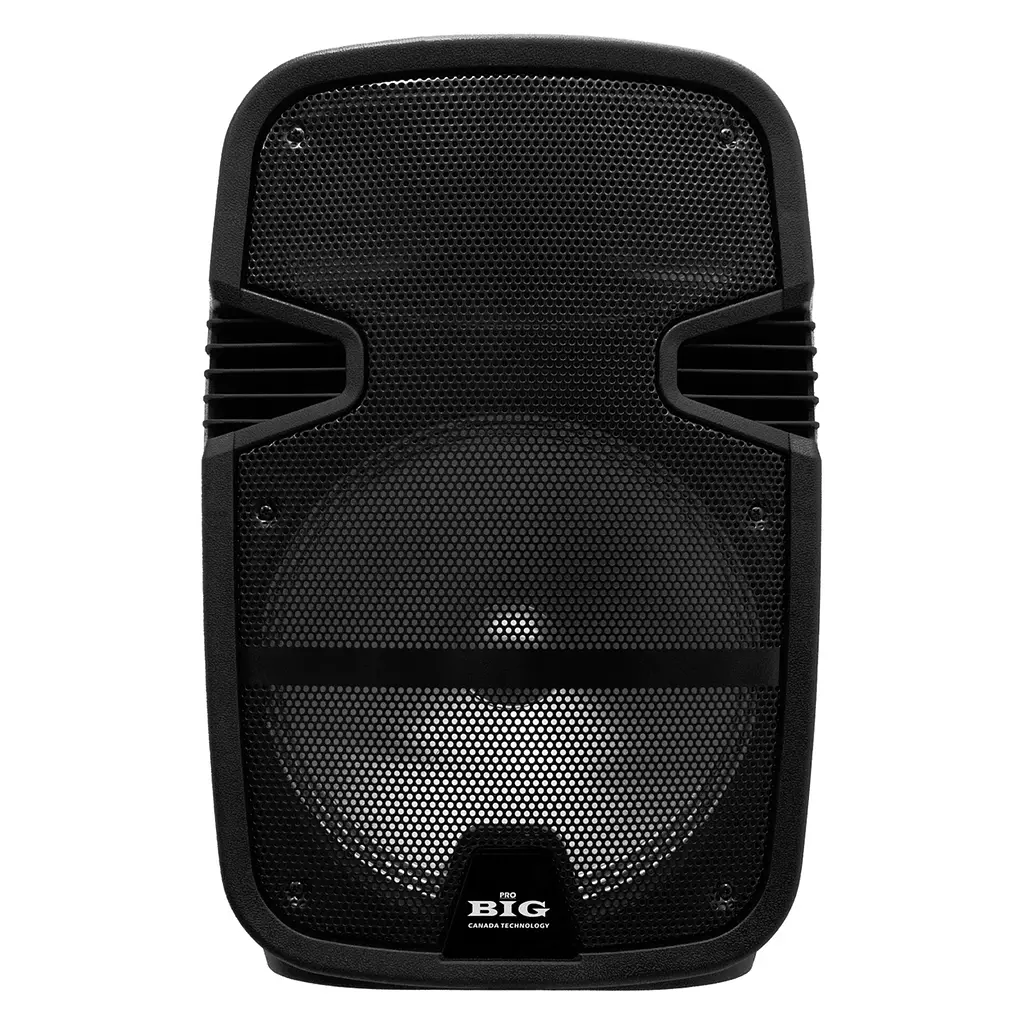 Портативная колонка BIG TORNADO 300W, два радио микрофона, караоке - фото 2