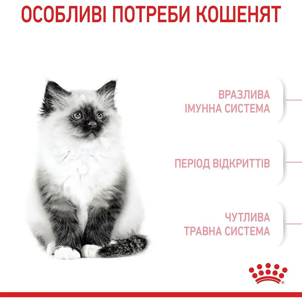 Сухой корм для котят Royal Canin Kitten мясо птицы и рис 0.4 кг - фото 3