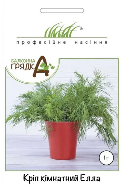 Насіння кропу кімнатного Елла 1 г (Професійне насіння)