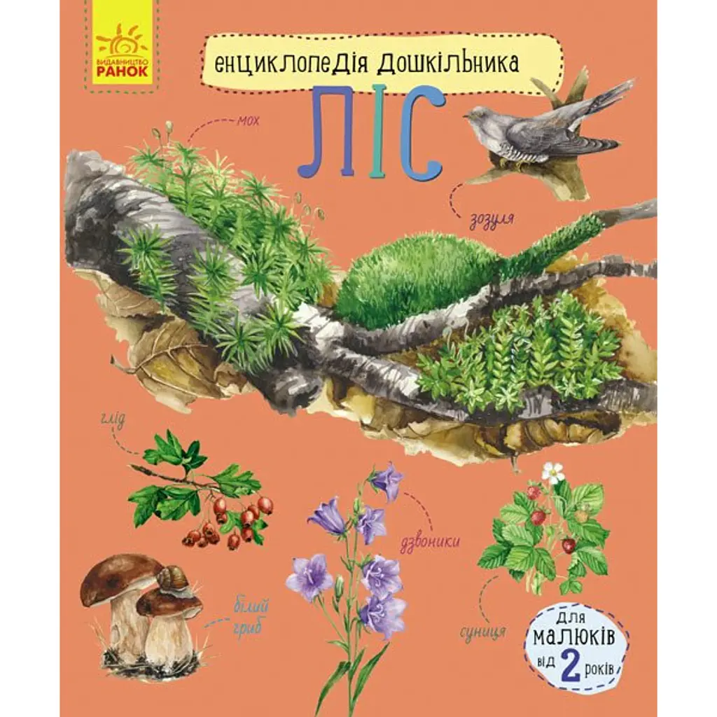 Ліс. Енциклопедія дошкільника - Юлія Каспарова