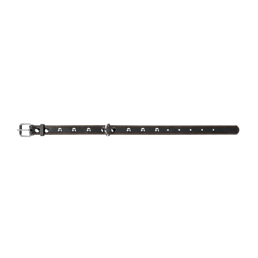 Ошейник Collar одинарный с украшением, 38-50х2,5 см, черный - фото 3