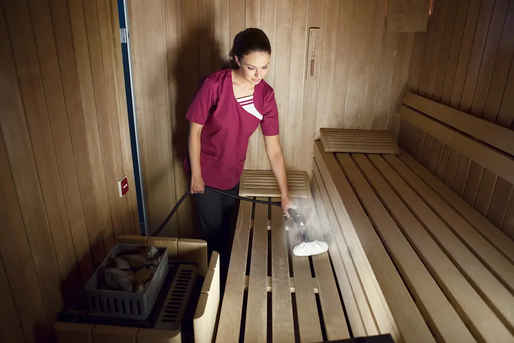 Пароочиститель Karcher SG 4/4 [1.092-104.0] [83093] - фото 7